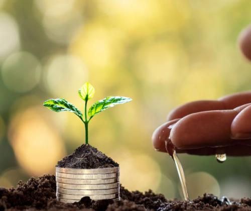Formación en economía circular para profesionales en activo: Introducción a la economía circular
